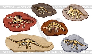 Dinosaur fossil bones in stones or dino skeletons - vector clipart