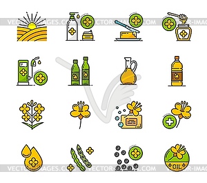 Rapeseed, canola oil icons, colza flowers, seeds - vector EPS clipart