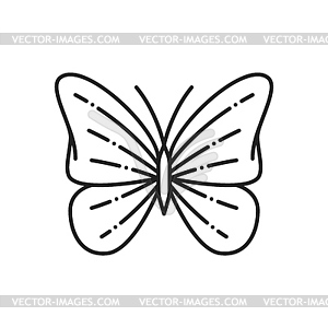 Butterfly line icon for tattoo or insect ornament - vector clipart