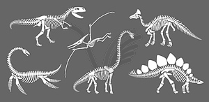 Dinosaur skeleton fossil, dino reptile silhouettes - vector clip art