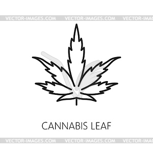 Cannabis leaf line icon CBD marijuana weed extract - vector EPS clipart