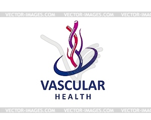 Vein vascular health icon of blood circulation - vector image