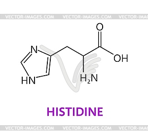 Молекула аминокислоты, молекулярная формула гистидина - векторный дизайн