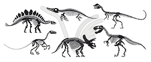 Dinosaur skeleton fossil, dino bones - vector clipart