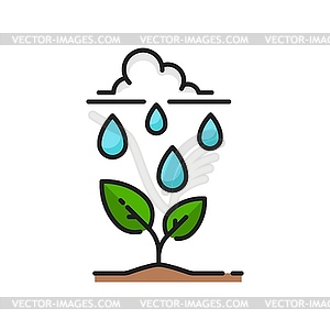 Plant natural watering of rain, sprout line icon - vector clipart