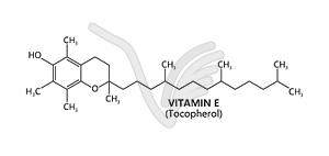 Формула витамина Е, химическая структура токоферола - черно-белый векторный клипарт