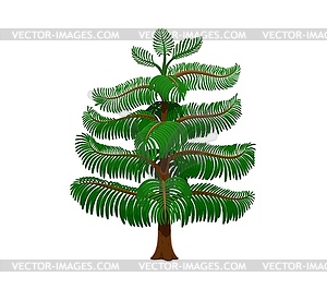 Cartoon rainforest tree evergreen tropical plant - vector clipart