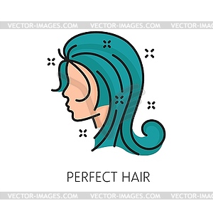 Perfect hair care and treatment line color icon - vector clip art