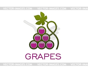 Значок виноградного вина, винодельня на винограднике и фруктовый сок - клипарт в векторном формате