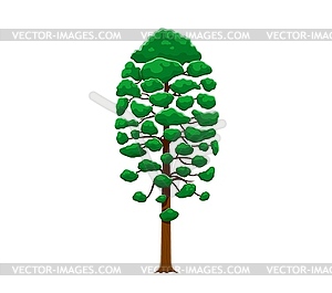 Cartoon jungle rainforest tree, tropical plant - vector clipart