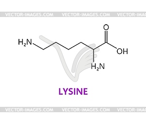 Lysine amino acid chemical molecule structure - vector clipart