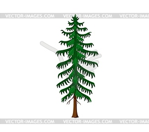 Cartoon jungle rainforest tree, forest plant - vector clipart