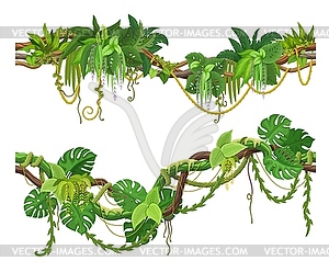 Tropical jungle forest liana vine branch, thicket - vector image