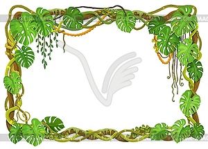 Лиановая рама из тропического леса с растениями джунглей - клипарт в векторном виде