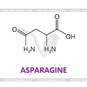 Химические молекулы аминокислоты аспарагин, цепочка - клипарт в формате EPS