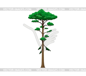 Cartoon jungle rainforest tree tropical vegetation - vector clipart