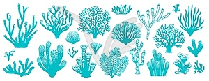 Sea coral reef and seaweed, underwater plants set - vector clipart