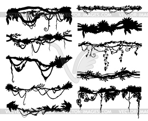 Jungle tropical liana branch and vine silhouettes - vector image