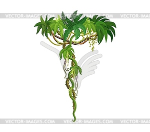 Tropical jungle rain forest liana vine branch - vector image