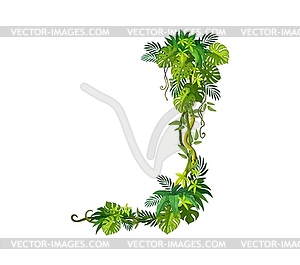 Tropical jungle rain forest vertical liana vine - vector image