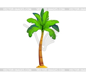 Cartoon jungle coconut and banana palm tree - vector clipart