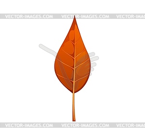 Cartoon autumn leaf with vibrant orange color - vector clip art