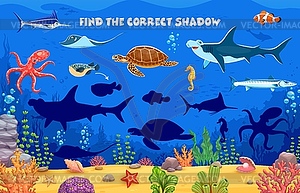 Find correct shadow, underwater sea animals fishes - royalty-free vector image