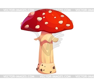 Cartoon amanita muscaria autumn mushroom - vector clip art