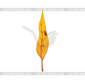 Cartoon yellow autumn leaf with brown spots - vector clip art