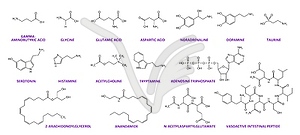 Neurotransmitter chemical formulas and structures - vector clipart