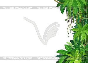 Tropical jungle lianas background border line - vector clipart