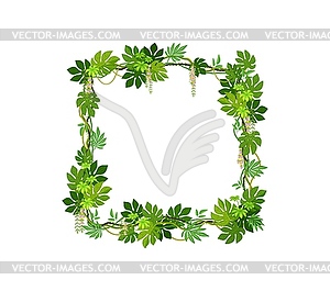 Tropical jungle square frame with liana and leaves - vector EPS clipart