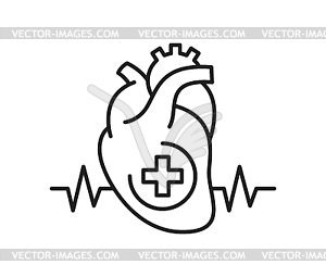 Heart cardiogram and cardiology medicine line icon - vector image