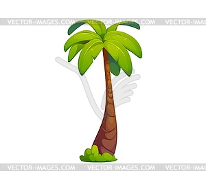 Cartoon jungle coconut and banana palm tree plant - royalty-free vector image