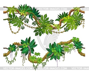 Tropical jungle forest liana branch, green leaves - vector EPS clipart