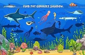 Find correct shadow of sea animals, kids game quiz - vector image