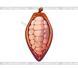 Cartoon cocoa bean of cacao tree for chocolate - vector image