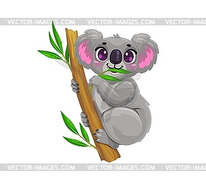 Cartoon cute koala character sitting on eucalyptus - vector image