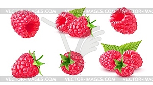 Realistic 3d ripe raspberry berry set - vector EPS clipart