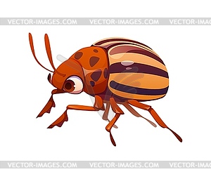 Cartoon funny Colorado potato beetle character - vector image