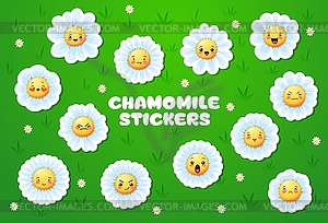 Cartoon chamomile face, daisy flowers stickers - vector image