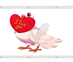 Cute dove holding red heart with love message - vector clipart
