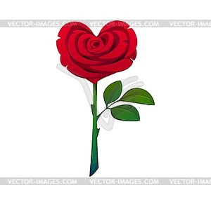 Heart shaped red rose flowers on stem with leaf - vector clipart