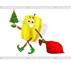 Christmas and new year winter tropical carambola - vector image