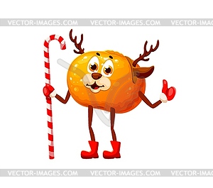 Christmas or new year winter tropical orange fruit - vector clip art