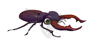 Cartoon funny stag beetle insect pest character - vector clipart