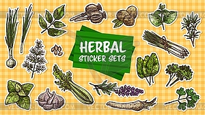 Stickers pack of spices and seasoning herbs - vector image