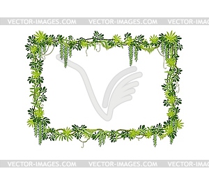 Tropical jungle forest liana frame of green leaves - vector clipart