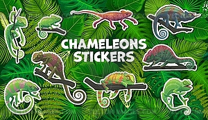 Cartoon chameleon lizards character stickers pack - vector clipart