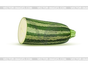 Realistic zucchini half, striped courgette squash - vector clip art